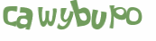 CAPTCHA-haaste