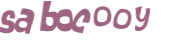 CAPTCHA 挑戰