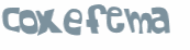 CAPTCHA 挑戰