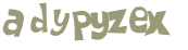 CAPTCHA 挑戰