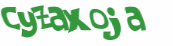 Wyzwanie captcha