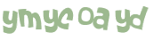 Captcha 챌린지
