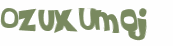 キャプチャ認証