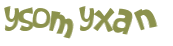CAPTCHA 挑戰