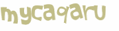 CAPTCHA 挑戰