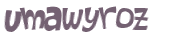 Captcha 챌린지