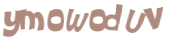 CAPTCHA 挑戰