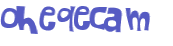 CAPTCHA 挑戰