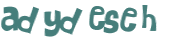 CAPTCHA 挑戰