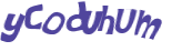 Wyzwanie captcha