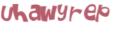CAPTCHA 挑戰