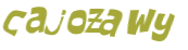Wyzwanie captcha