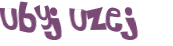 Wyzwanie captcha