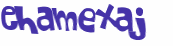CAPTCHA 挑戰