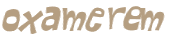 CAPTCHA 挑戰