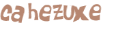 Captcha 챌린지