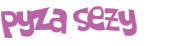 Wyzwanie captcha