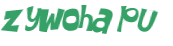 Wyzwanie captcha