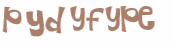 Captcha 챌린지