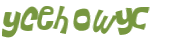 Captcha-Test