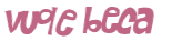 Captcha-Test