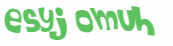 Sfida captcha