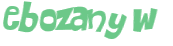 Wyzwanie captcha