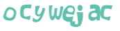 CAPTCHA 挑戰