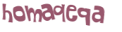 Desafio captcha