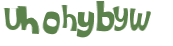 Wyzwanie captcha