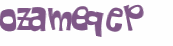 CAPTCHA 挑戰