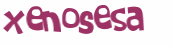 Desafio captcha