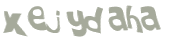 Captcha 챌린지