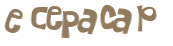 Captchafråga