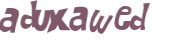CAPTCHA 挑戰