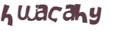 Wyzwanie captcha