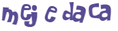 CAPTCHA 挑戰