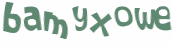 CAPTCHA 挑戰
