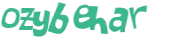 CAPTCHA 挑戰
