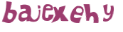 CAPTCHA 挑戰