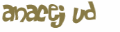 Captcha 챌린지