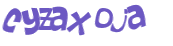 CAPTCHA 挑戰