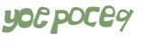 CAPTCHA 挑戰