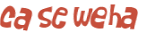 Desafio Captcha