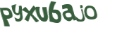 CAPTCHA 挑戰