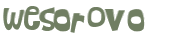 Wyzwanie captcha