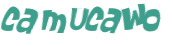 Captcha-test