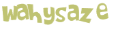 Wyzwanie captcha