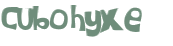 CAPTCHA 挑戰