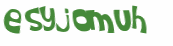 Desafio Captcha
